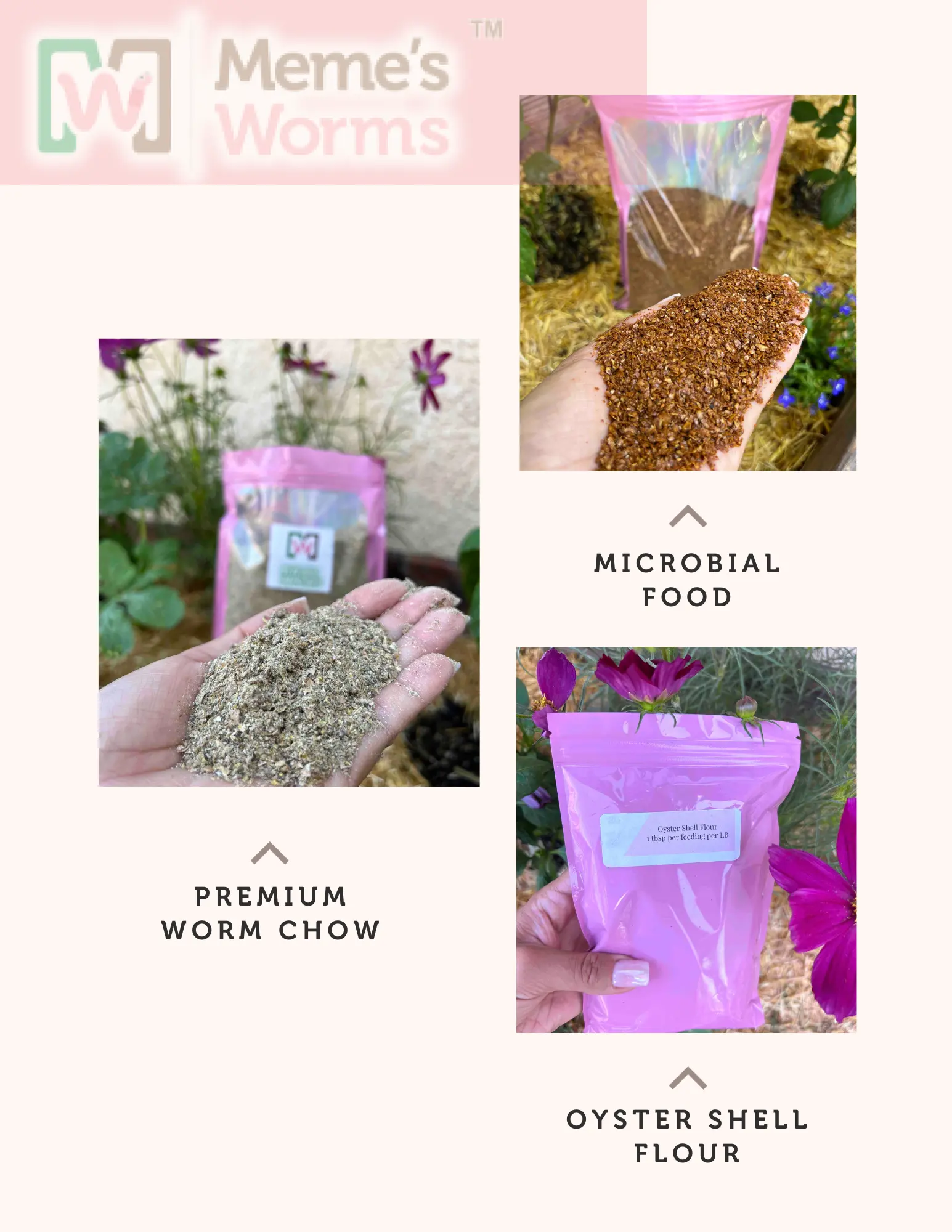 Buy Organic Worm Farm Kit Online