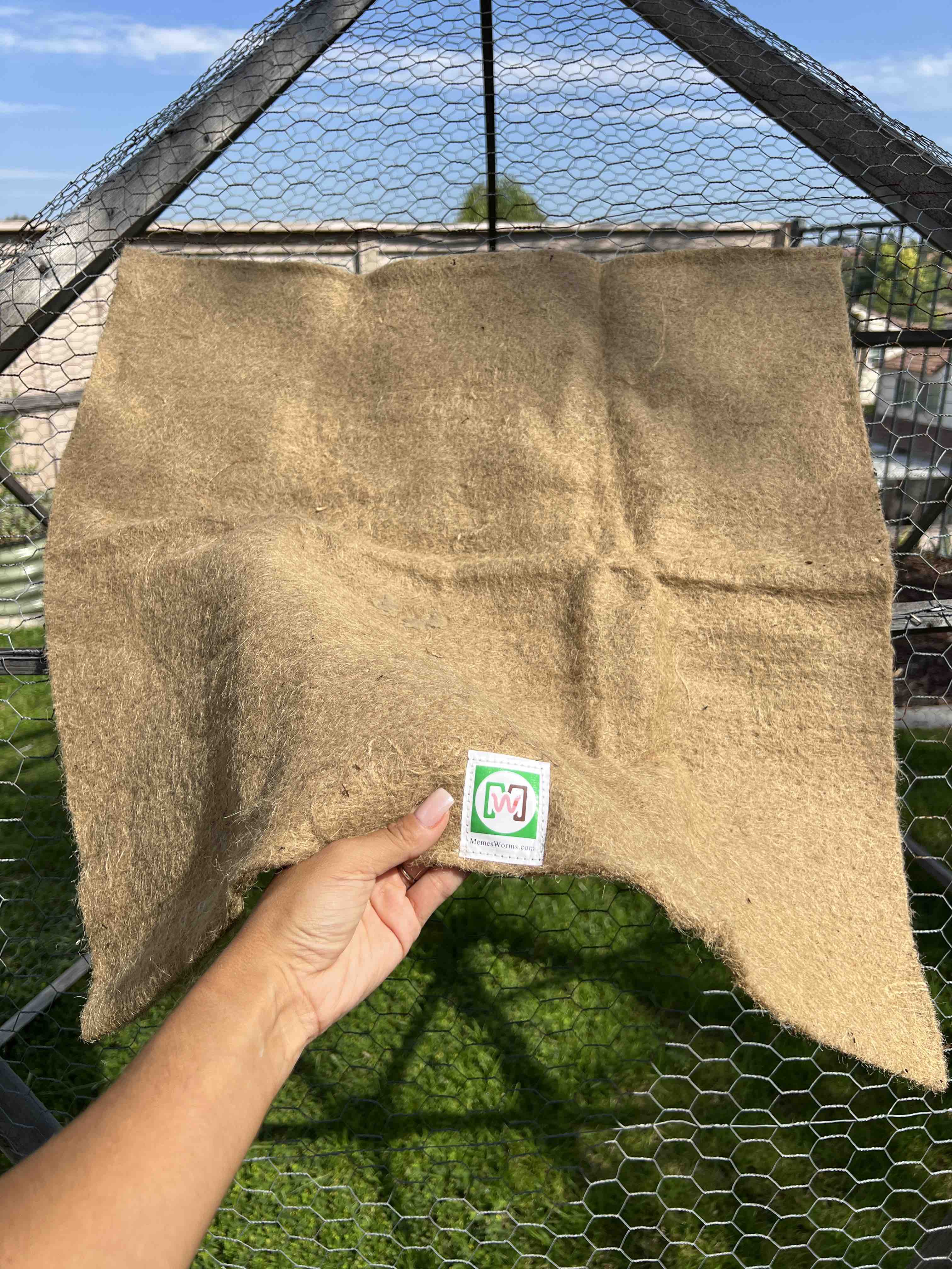 Captain Matt x Meme's Worms