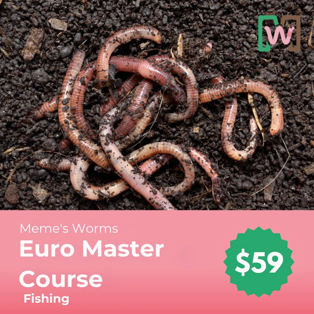 European Nightcrawlers for Sale | Buy in Standard & Bulk for Gardening & Composting